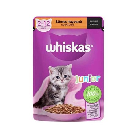 Whiskas Junior Kümes Hayvanlı Yavru Kedi Yaş Maması 85gr 14 Adet