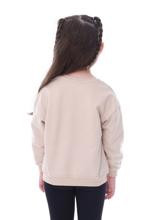 Basic Düz Renk Pembe Fırçalı Yumuşak %100 Pamuk Sweatshirt