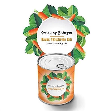 İpek Yıldızı® Konserve Bahçem Evde Konservede Havuç Yetiştirme Büyütme Kiti