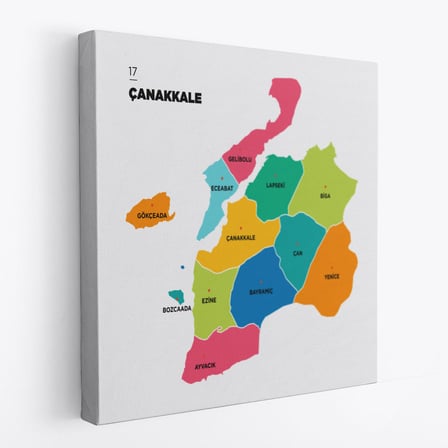 Harita Sepeti Çanakkale İli ve İlçeler Haritası Dekoratif Kanvas Tablo 1309