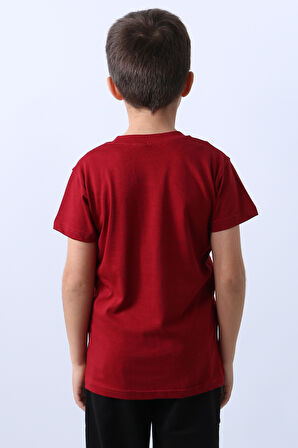 ERKEK ÇOCUK TSHİRT LİON BASKILI BİSİKLET YAKA E36