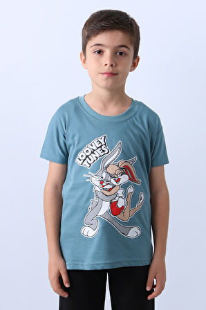 ERKEK ÇOCUK TSHİRT KARAKTER BASKILI BİSİKLET YAKA F16