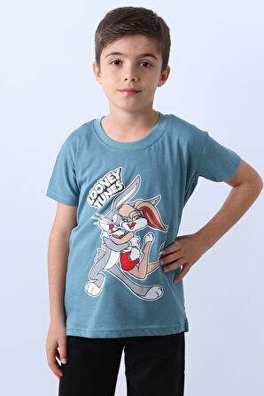 ERKEK ÇOCUK TSHİRT KARAKTER BASKILI BİSİKLET YAKA F16