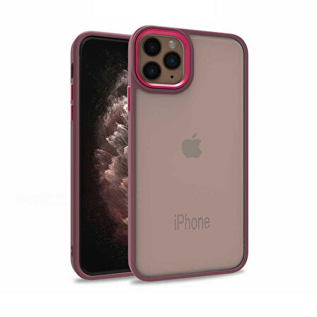 Gpack Apple iPhone 11 Pro Kılıf Flora Sert Silikon Arkası Cam Şeffaf
