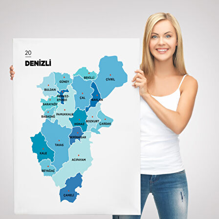 Harita Sepeti Denizli İli ve İlçeler Haritası Dekoratif Kanvas Tablo 1320