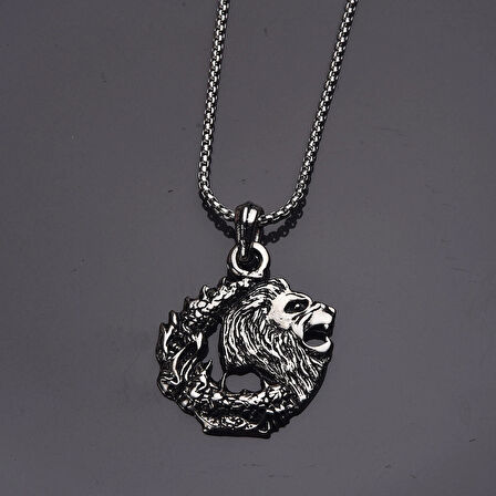 Aslan Ejderha Erkek Kolye Çelik Takı Aksesuar