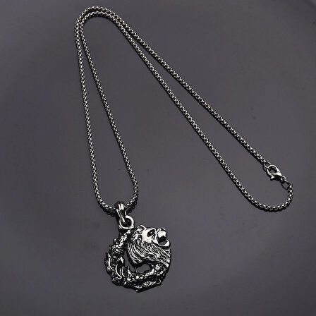 Aslan Ejderha Erkek Kolye Çelik Takı Aksesuar