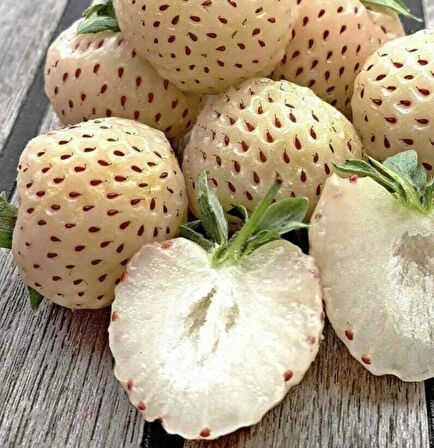 Tüplü Beyaz Çilek Fidanı (Fragaria) - 1-2 Yaşında, Kolay Yetişen ve Nadir