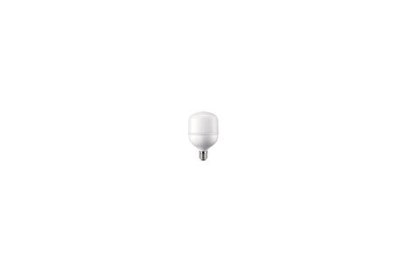 WINLIGHT WL-T20 20w Torch Led Ampül WINLIGHT