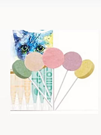Ranova Kurutulmuş Kızılcık Aromalı Kedi Lolipop 1,4 G X 3 Adet Sk: 2026