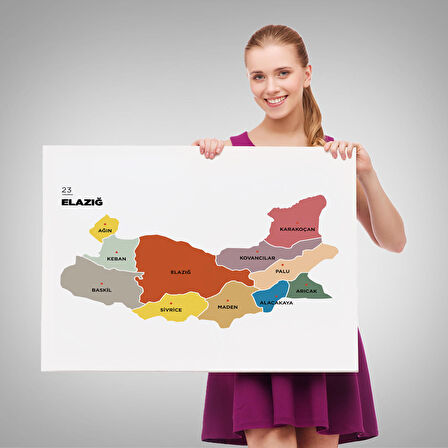 Harita Sepeti Elazığ İli ve İlçeler Haritası Dekoratif Kanvas Tablo 1331