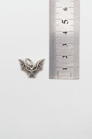 Minimalist Gotik Yarasa Kolye - Düz Ezme İthal Zincirli Unisex Gümüş Kaplama - 60 cm