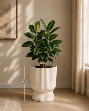 SO-LTSA03 Lotus Ayaklı Plastik Vazo Çiçek Saksı 10,5 Lt No: 3 Kum Beji 6 Adet