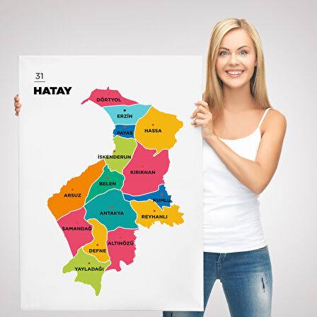 Harita Sepeti Hatay İli ve İlçeler Haritası Dekoratif Kanvas Tablo 1354