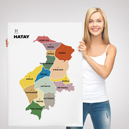Harita Sepeti Hatay İli ve İlçeler Haritası Dekoratif Kanvas Tablo 1355