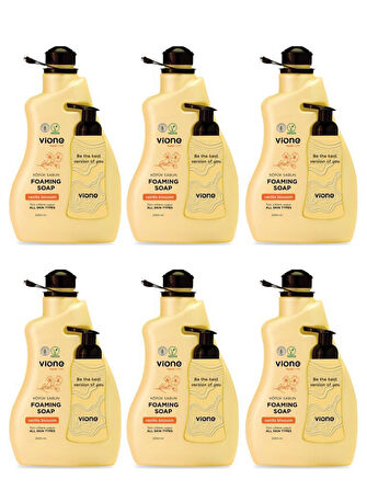 vione 6 Adet Köpük Sabun El ve Yüz İçin Vanilya Çiçeği 2 lt (Köpük Yapıcı Sabunluk Hediyeli)