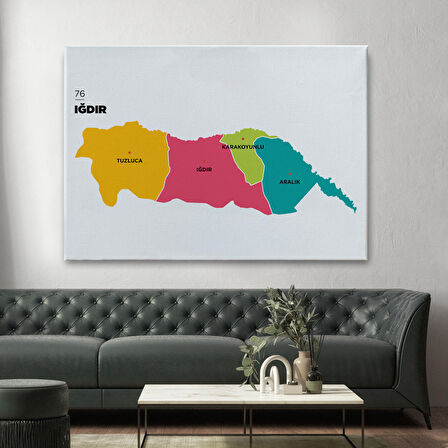 Harita Sepeti Iğdır İli ve İlçeler Haritası Dekoratif Kanvas Tablo 1357