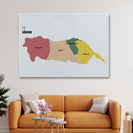 Harita Sepeti Iğdır İli ve İlçeler Haritası Dekoratif Kanvas Tablo 1358