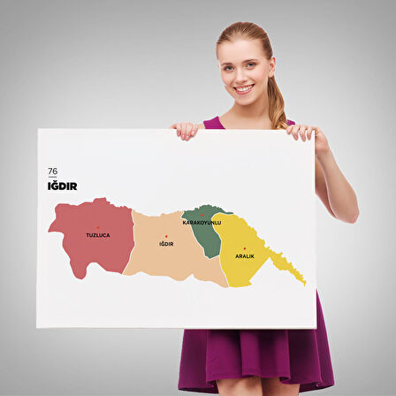 Harita Sepeti Iğdır İli ve İlçeler Haritası Dekoratif Kanvas Tablo 1358