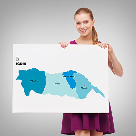 Harita Sepeti Iğdır İli ve İlçeler Haritası Dekoratif Kanvas Tablo 1359