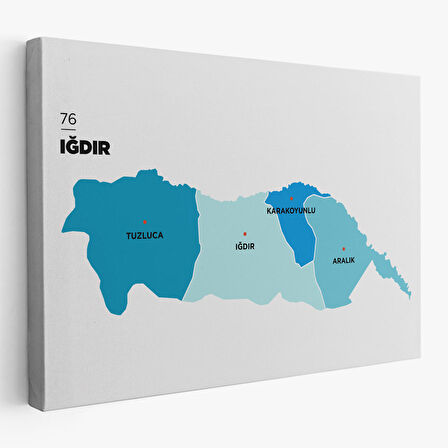 Harita Sepeti Iğdır İli ve İlçeler Haritası Dekoratif Kanvas Tablo 1359