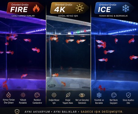 Orionled Aquaslim 4 Renk Akvaryum Led Aydınlatma 100 cm