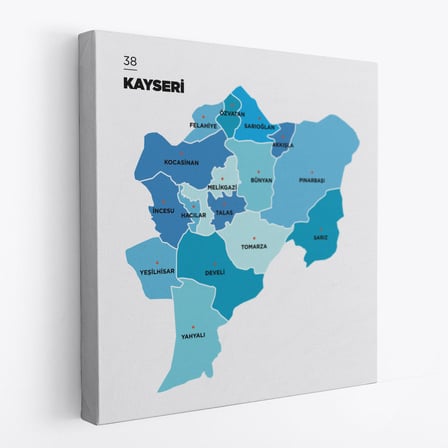 Harita Sepeti Kayseri İli ve İlçeler Haritası Dekoratif Kanvas Tablo 1387