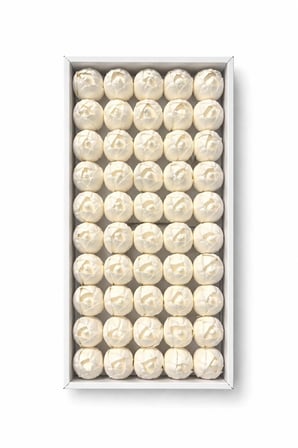 Beyaz Kokulu Kafa Lale 4,5 cm - 50 Adet