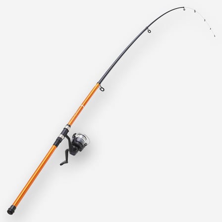 CAPERLAN Kıyı Olta Takımı - Balıkçılık - 300 cm 40/80 g 4000 - Seacoast Light 100