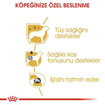 Royal Canin Poodle Yaş Köpek Maması 85g
