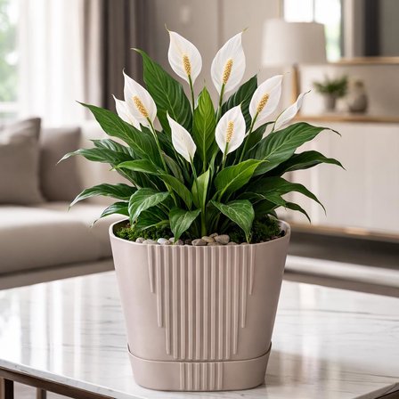 Omnipazar SO-ZB05 Zambak Dekoratif Plastik Saksı 8.8 Litre No:5