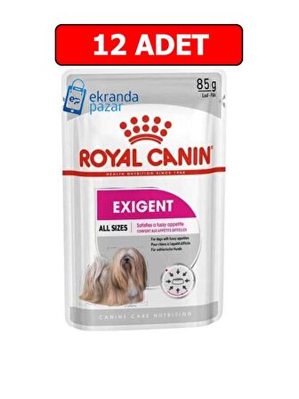 Royal canin exigent seçici yaş köpek maması 12 adet x 85 gr pouch konserve