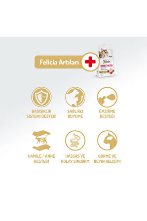 Kolajen Destekli Hipoalerjenik Kuzulu Yavru ve Anne Kedi Maması 2KG