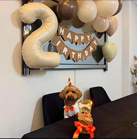 Köpekler Için Doğum Günü Seti-Happy Orange Kit- Pasta, Tasarım Pasta Süsü ,Doğum Günü Şapkası