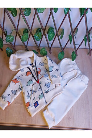 ERKEK ÇOCUK BEBEK DİNAZOR DESENLİ KAPŞÜNLU VE FERMUARLI 2 Lİ TAKIM