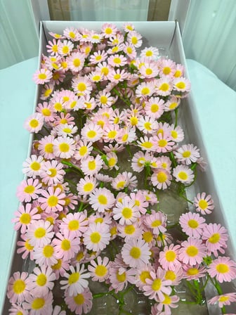 Kırmızı Yapay Papatya Seti