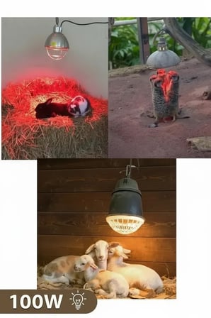 100W Kızılötesi (infrared) Isıtıcılı Hayvan Isıtma ve Kuluçka Lambası (Kırmızı Işık) E27