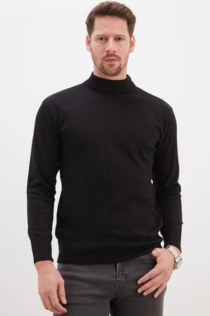 Basic Dik Yaka Regular Fit Triko Kazak