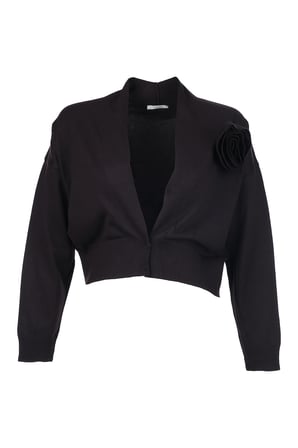 Unique Mode Minimalist V Yaka Uzun Kol Kadın Crop Hırka