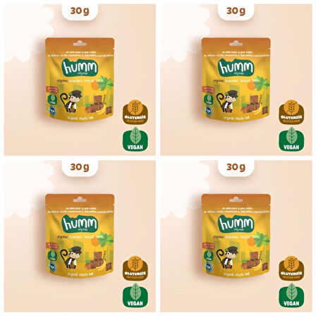 Organik Glutensiz Vegan Muzlu Kek - 30g * 4 adet