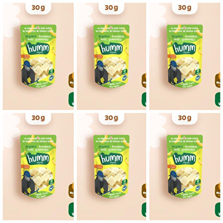 Organik Glutensiz Vegan Muzlu Mini Küpler Atıştırmalık Paketi - 6 adet * 30 g