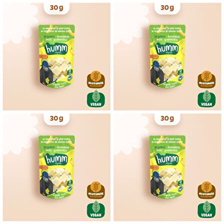 Organik Glutensiz Vegan Muzlu Mini Küpler Atıştırmalık Paketi - 4 adet * 30 g