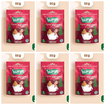 Organik Vegan Zencefilli ve Tarçınlı Kurabiye - 55g*6 adet