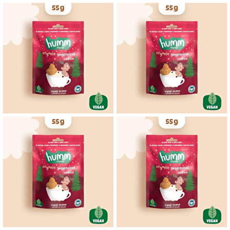 Organik Vegan Zencefilli ve Tarçınlı Kurabiye - 55g*4 adet