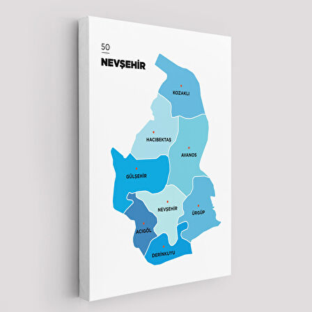 Harita Sepeti Nevşehir İli ve İlçeler Haritası Dekoratif Kanvas Tablo 1429