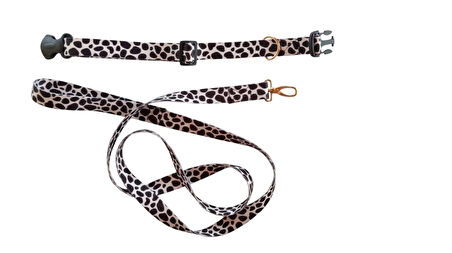 KÖPEK TASMASI VE GEZDİRME KAYIŞI 150 CM