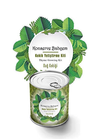 By Nevser® Konserve Bahçem Evde Konservede Kekik Dağ Kekiği Yetiştirme Kiti