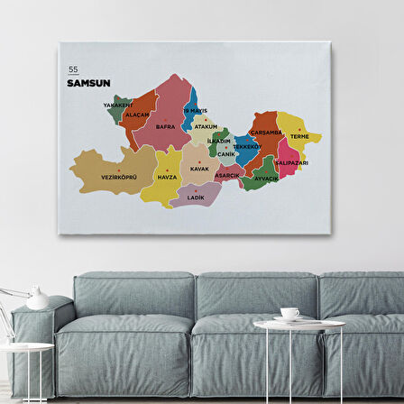 Harita Sepeti Samsun İli ve İlçeler Haritası Dekoratif Kanvas Tablo 1446