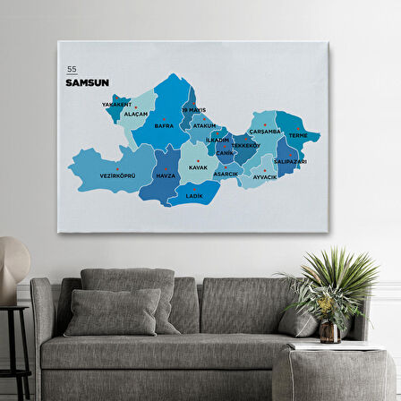 Harita Sepeti Samsun İli ve İlçeler Haritası Dekoratif Kanvas Tablo 1447