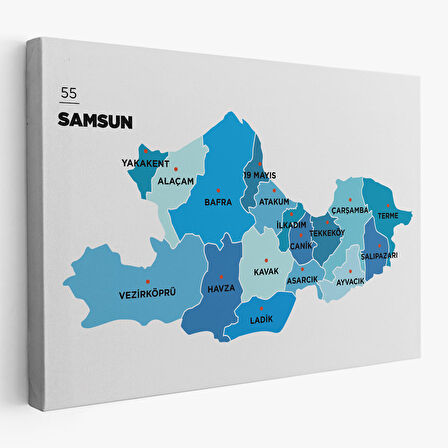 Harita Sepeti Samsun İli ve İlçeler Haritası Dekoratif Kanvas Tablo 1447